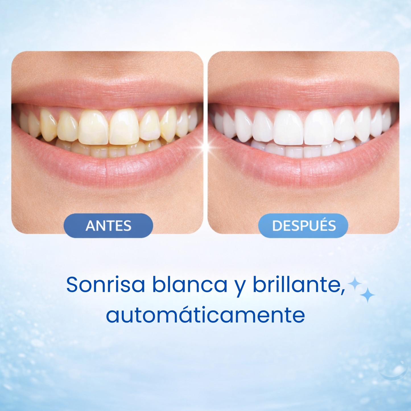 BLANQUIX® Totalcleaner